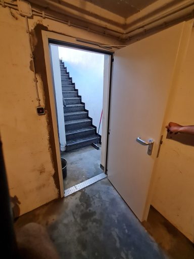 Brandschutztür, Feuerschutztür, 1-flügelige Brand- und Rauchschutztür aus Stahl, FH-T30/RS